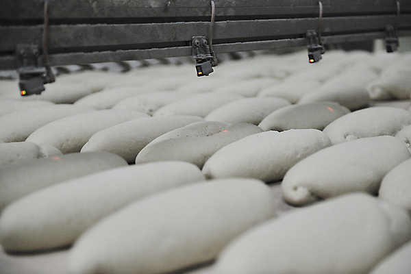 포토 JPG 해외이미지 빵 공장 실내 사람없음 기계 확인 반죽 해외202004 해외포토 음식 공업 내부 파일형식 이미지허브