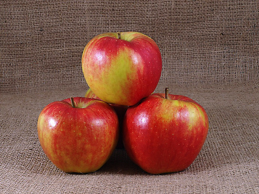 포토 JPG 해외이미지 과일 사람없음 사과 해외202004 해외포토 파일형식 이미지허브