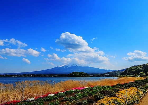 포토 JPG 해외이미지 식물 구름 공원 잎 자연 하늘 휴식 산 풍경 사람없음 컬러풀 활발 가을 신선 파란배경 자연백그라운드 해외202004 해외포토 자연요소 계절 공공시설 컬러 백그라운드 컨셉 파란색 생태계 파일형식 이미지허브