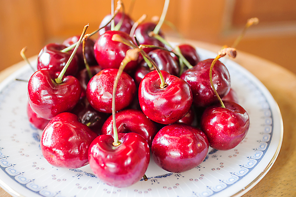 포토 JPG 해외이미지 열매 음식 농업 다이어트 과일 자연 디저트 건강 사람없음 빨간색 식사 에너지 신선 체리 달콤 맛 오브젝트 유기농 날것 칼로리 섬유 숙성 정물화 채식주의자 포도당 해외202004 해외포토 식물 웰빙 산업 컬러 컨셉 직물 그림 생태계 채식 파일형식 이미지허브