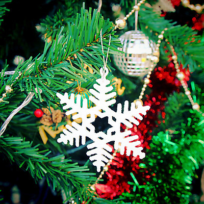 포토 JPG 해외이미지 나무 계절 백그라운드 크리스마스 겨울 공 휴가 새로움 매달리기 사람없음 장식 빨간색 초록색 빛 파티 금속 종 은색 연도 심볼 사인 정사각형 빛망울 미니 소셜네트워크 해외202004 해외포토 도형 식물 기념일 컬러 컨셉 모션 재질 이벤트 파일형식 이미지허브