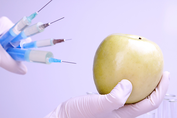 포토 JPG 해외이미지 음식 과학 농업 토마토 과일 자연 실험 주사기 사람없음 약 흰색 실험실 사과 DNA 생명공학 약국 과학자 유기농 주사약 유전 화학물질 해외202004 해외포토 직업 웰빙 산업 컬러 채소 의학 의료기기 화학 생태계 학자 파일형식 이미지허브