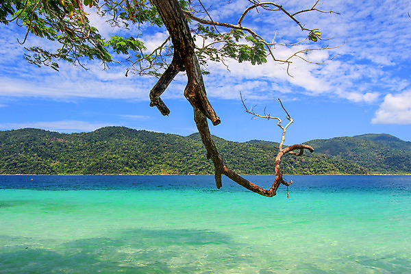 포토 JPG 해외이미지 주간 나무 구름 모래 파도 바다 섬 잎 태국 하늘 휴가 산 파노라마 그림자 사람없음 목재 초록색 물 여름 파란색 컬러풀 햇빛 반사 활발 바위 신선 그늘 질감 스카이라인 마디 강렬 깊이 수목 수평선 해외202004 해외포토 자연요소 식물 계절 아시아 컬러 컨셉 재료 촬영기법 태양 돌_바위 파일형식 이미지허브