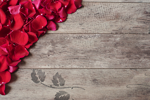 포토 JPG 해외이미지 꽃잎 꽃다발 백그라운드 발렌타인데이 선물 사랑 사람없음 장식 빨간색 장미 공백 하트 해외202004 해외포토 모양 꽃 감정 컬러 데이이벤트 파일형식 이미지허브