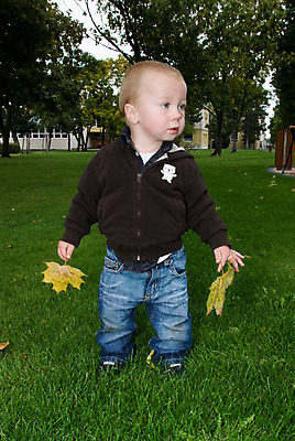 포토 JPG 해외이미지 백인 공원 남자 유럽 아들 얼굴 어린이 잎 놀이 한명 사람 소년 야외 유치원 기쁨 가을 표현 놀이터 작음 천진난만 해외202004 해외포토 서양인 식물 1 계절 공공시설 교육 감정 나라 컨셉 가족 신체부위 크기 파일형식 이미지허브