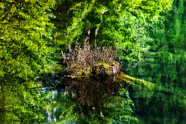 포토 JPG 해외이미지 나무 식물 계절 호수 백그라운드 자연 추상 풍경 사람없음 야외 초록색 물 빛 컬러풀 햇빛 반사 평화 침묵 가을 내추럴 해외202004 해외포토 자연요소 컬러 컨셉 무늬 태양 소리 생태계 파일형식 이미지허브