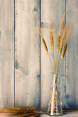 포토 JPG 해외이미지 음식 빵 백그라운드 농업 재료 자연 벽지 건조 건강 옥수수 씨앗 사람없음 목재 여름 농작물 꽃병 식사 빵집 수확 광선 가을 시골 황금 낟알 시리얼 밀 날것 귀 스파이크 밀짚 해외202004 해외포토 나무 식물 계절 꽃 산업 곡류 신체부위 상점 짚 생태계 파일형식 이미지허브
