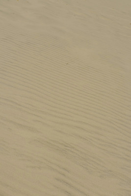 포토 JPG 해외이미지 선 모래 파도 백그라운드 패턴 자연 추상 덴마크 그림자 사람없음 모래사장 갈색 맑음 사막 황금 모래언덕 묘사 부식 질감 사하라 내추럴 스칸디나비아 해외202004 해외포토 바다 컬러 무늬 아프리카 날씨 북유럽 언덕 생태계 파일형식 이미지허브