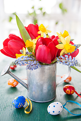 포토 JPG 해외이미지 꽃 꽃무늬 봄꽃 사람없음 목재 장식 빨간색 세로 초록색 파란색 컬러풀 노란색 봄 물뿌리개 튤립 수확 신선 개화 캔 부활절계란 수선화 해외202004 해외포토 나무 식물 계절 컬러 무늬 농업 재료 부활절 계란 파일형식 이미지허브