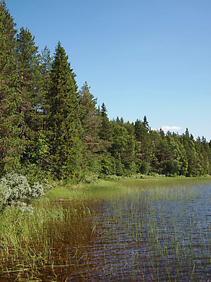 포토 JPG 해외이미지 구름 호수 여행 자연 하늘 휴가 풍경 사람없음 야외 가로 초록색 물 여름 파란색 강 햇빛 반사 우주 침묵 하이킹 고독 숲 러시아 장면 노젓기 북쪽 천국 멀리 대칭 뱃놀이 수평선 해외202004 해외포토 자연요소 계절 감정 유럽 컬러 배_교통 모션 레저 태양 전통놀이 소리 방향 생태계 파일형식 이미지허브