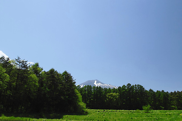 포토 JPG 해외이미지 나무 계절 자연 하늘 산 풍경 사람없음 목재 초록색 파란색 일본 봄 숲 해외202004 해외포토 식물 아시아 컬러 재료 생태계 파일형식 이미지허브