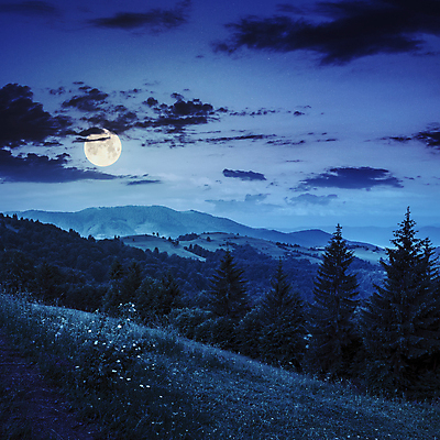 포토 JPG 해외이미지 나무 구름 하늘 산 풍경 사람없음 야외 파란색 보름달 달 야간 해외202004 해외포토 자연요소 식물 컬러 파일형식 이미지허브