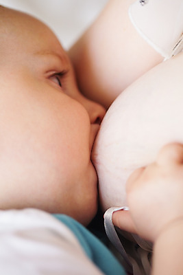 포토 JPG 해외이미지 백인 라이프스타일 응시 아들 얼굴 음료 어린이 음식 2 가족 놀이 엄마 함께함 건강 사랑 사람 두명 육아 흰색 자녀 아기 핥기 결합 작음 가슴 먹기 내추럴 걸음마 궤 돌봄 수유 천진난만 공급 해외202004 해외포토 서양인 시선 감정 컬러 컨셉 관계 모션 생활 신체부위 크기 파일형식 이미지허브