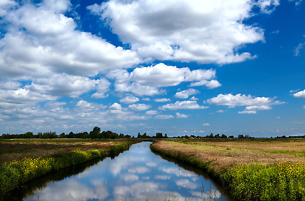 포토 JPG 해외이미지 구름 호수 여행 밭 자연 하늘 풍경 사람없음 야외 초록색 여름 파란색 강 반사 흰색 연못 네덜란드 채널 수평선 해외202004 해외포토 자연요소 계절 유럽 컬러 농업 생태계 파일형식 이미지허브
