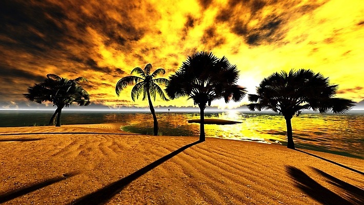 포토 JPG 해외이미지 나무 구름 모래 바다 섬 여행 잎 자연 하늘 휴가 손바닥 풍경 사람없음 야외 초록색 물 여름 파란색 태양 여행객 침묵 일몰 꿈 만 작음 휴양지 하와이 장면 암초 코코넛 석호 몰디브 이국적 터키석 파라다이스 해외202004 해외포토 자연요소 식물 손 계절 아시아 컬러 과일 사람 노을 미국 소리 장소 크기 보석 생태계 파일형식 이미지허브