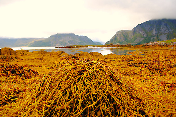 포토 JPG 해외이미지 사람없음 해외202004 해외포토 파일형식 이미지허브