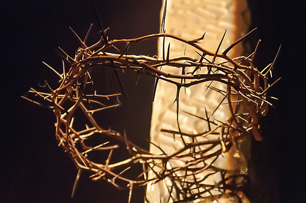 포토 JPG 해외이미지 기독교 종교 십자가 왕관 부활절 사람없음 목재 믿음 성경 희망 죽음 예수 가시 신성 희생 복음 신앙심 해외202004 해외포토 나무 기념일 감정 재료 종교용품 신_종교 파일형식 이미지허브