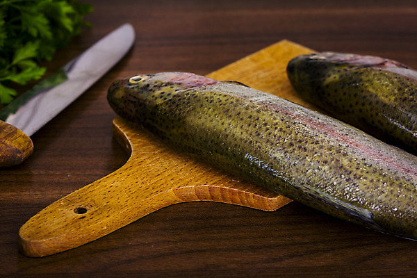 포토 JPG 해외이미지 동물 접시 음식 바다 2 다이어트 낚시 파슬리 건강 육류 어류 요리 사람없음 초록색 주방 식사 저녁식사 죽음 신선 맛 은색 해산물 피부 준비 꼬리 날것 내추럴 점심식사 민물 송어 오메가 해외202004 해외포토 식기 컬러 컨셉 채소 식재료 레저 신체부위 수중동물 파일형식 이미지허브