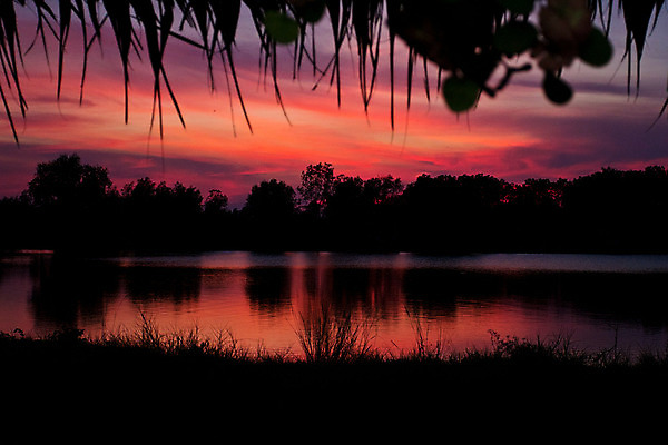 포토 JPG 해외이미지 나무 구름 계절 실루엣 모래 파도 바다 여행 백그라운드 오렌지 자연 하늘 추상 휴가 풍경 사람없음 야외 빨간색 물 여름 파란색 빛 컬러풀 햇빛 태양 반사 노란색 일출 맑음 황혼 일몰 새벽 황금 야간 저녁 수평선 해외202004 해외포토 자연요소 식물 컬러 무늬 과일 날씨 촬영기법 노을 생태계 파일형식 이미지허브