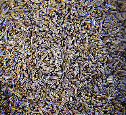 포토 JPG 해외이미지 요리 사람없음 주방 향신료 양배추 건강식 내추럴 해외202004 해외포토 음식 채소 향미료 파일형식 이미지허브