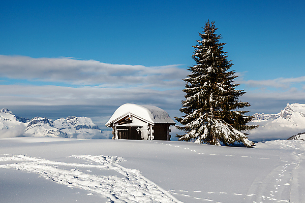 포토 JPG 해외이미지 나무 전통 여행 크리스마스 겨울 자연 휴가 스키 산 주택 요정 풍경 사람없음 목재 파란색 마을 계곡 맑음 얼음 추위 프랑스 흰색 신선 스노우보드 정상 숲 오두막 아래 시골집 휴양지 알프스 상록수 전나무 프랑스어 샬레 절정 눈내림 해외202004 해외포토 자연요소 식물 문자 계절 기념일 유럽 컬러 재료 날씨 겨울스포츠 눈_날씨 실험기구 건물 장소 보드_스포츠 방향 생태계 위치 파일형식 이미지허브