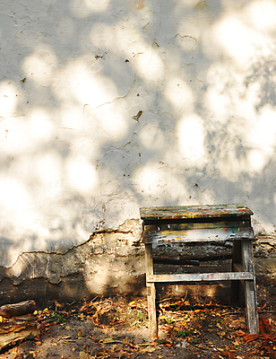 포토 JPG 해외이미지 나무 직업 공원 벽 백그라운드 벤치 자연 벽돌 사람없음 초록색 기댐 흰색 해외202004 해외포토 식물 공공시설 컬러 의자 모션 생태계 파일형식 이미지허브