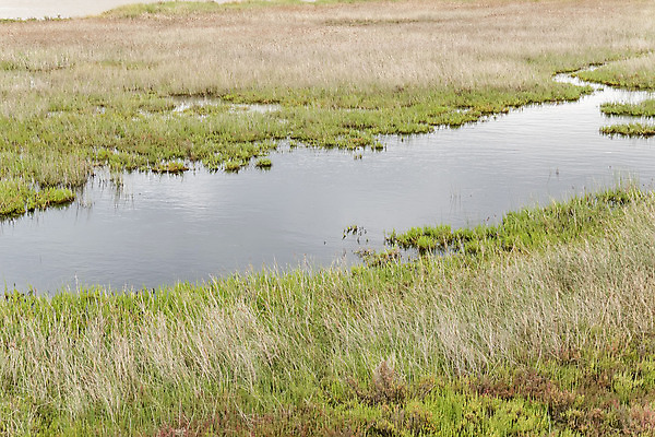 포토 JPG 해외이미지 식물 라이프스타일 유럽 호수 여행 자연 풍경 사람없음 야외 초록색 물 강 컬러풀 반사 평화 귀여움 침묵 연못 황금 달콤 습지 지중해 생태계 석호 내추럴 생태학 해외202004 해외포토 자연요소 교육 나라 바다 컬러 컨셉 생활 소리 맛 파일형식 이미지허브