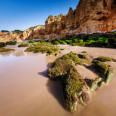 포토 JPG 해외이미지 유럽 모래 파도 바다 분홍색 여행 자연 조류 하늘 아침 휴가 이끼 풍경 사람없음 초록색 물 여름 파란색 일출 새벽 조약돌 바위 황금 포르투갈 부식 휴양지 질감 웅덩이 지역 대서양 해외202004 해외포토 주간 자연요소 동물 계절 나라 컬러 노을 장소 돌_바위 생태계 파일형식 이미지허브