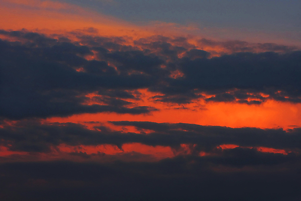 포토 JPG 해외이미지 구름 계절 백그라운드 오렌지 자연 하늘 바람 날씨 풍경 사람없음 야외 가로 빨간색 여름 파란색 빛 우주 환경 보라색 활발 회색 자유 저녁 제비꽃 장면 폭풍 흐림 해외202004 해외포토 자연요소 꽃 컬러 컨셉 과일 야간 생태계 파일형식 이미지허브