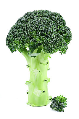 포토 JPG 해외이미지 음식 줄기 잎 다이어트 채소 건강 요리 사람없음 초록색 컬러풀 요식업 저녁식사 흰색 신선 최고 고명 몸무게 브로콜리 날씬함 유기농 날것 칼로리 섬유 성분 내추럴 점심식사 고립 식욕 적자 해외202004 해외포토 식물 웰빙 산업 컬러 식사 직물 몸매 파일형식 이미지허브