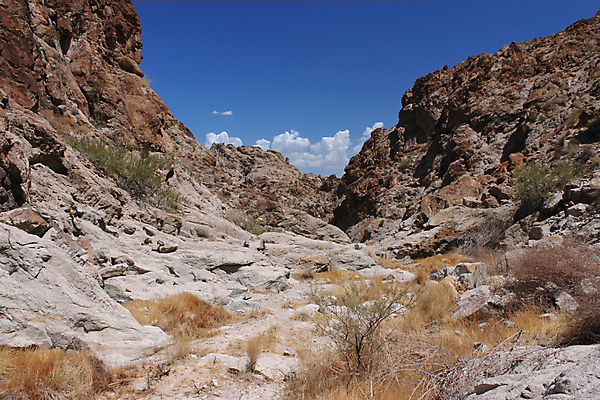 포토 JPG 해외이미지 공원 여행 자연 건조 사람없음 환경 골짜기 미국 사막 뜨거움 지역 서식지 내추럴 해외202004 해외포토 공공시설 북아메리카 생태계 파일형식 이미지허브