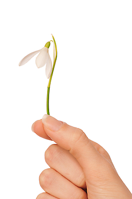 포토 JPG 해외이미지 식물 전통 손 계절 꽃잎 꽃 문화 줄기 꽃다발 잎 겨울 꽃무늬 자연 선물 사람없음 야외 장식 초록색 정원 침묵 봄 들꽃 성장 벚꽃 흰색 신선 잡기 눈송이 개화 선택 떨어짐 숲 4월 다발 배열 심볼 헌병 세련 해외202004 해외포토 컬러 컨셉 무늬 모션 눈_날씨 신체부위 소리 군인 날짜 생태계 파일형식 이미지허브