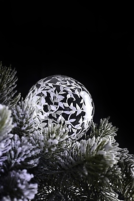 포토 JPG 해외이미지 나무 전통 계절 백그라운드 크리스마스장식 크리스마스 공 휴가 사람없음 장식 빛 축제 흰색 축하 투명 해외202004 해외포토 식물 기념일 컬러 컨셉 파일형식 이미지허브