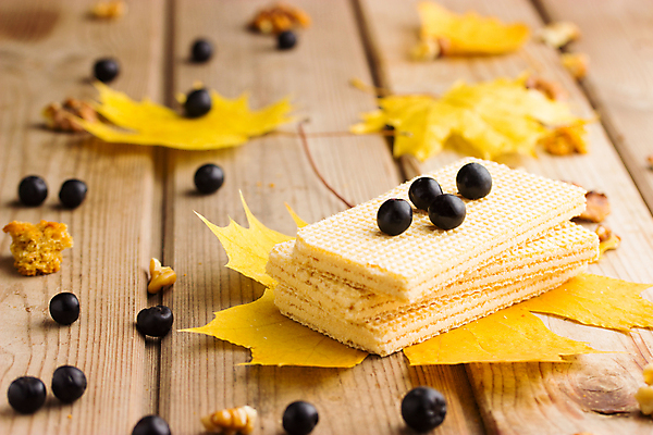 포토 JPG 해외이미지 디자인 계절 별 음식 백그라운드 단풍 잎 크리스마스 오렌지 추상 휴가 디저트 프레임 미술 사람없음 목재 장식 빨간색 파란색 컬러풀 노란색 쿠키 칠판 빵집 가을 시골 직물 달콤 맛 아침식사 숲 굽기 분필 질감 긍정 꿀 추수감사절 전나무 원뿔 10월 반투명 엘리먼트 핸드메이드 해외202004 해외포토 자연요소 도형 나무 식물 기념일 기독교 컬러 컨셉 무늬 과일 재료 문화예술 상점 식사 날짜 구이 초크 파일형식 이미지허브