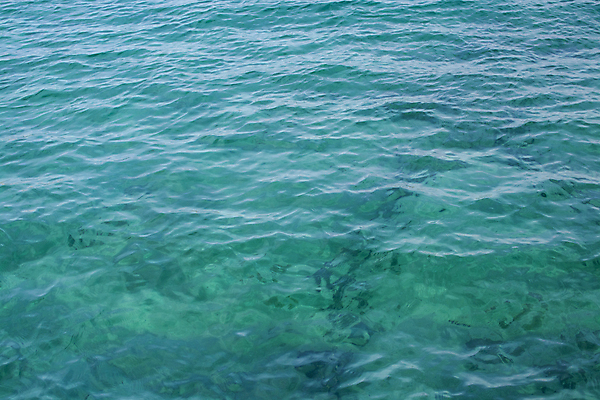 포토 JPG 해외이미지 계절 바다 섬 여행 백그라운드 컨셉 자연 추상 휴가 휴식 사람없음 야외 목재 초록색 물 여름 빛 컬러풀 햇빛 반사 환경 맑음 활발 젖음 신선 투명 액체 닫기 시원함 묘사 유기농 질감 내추럴 이국적 해외202004 해외포토 자연요소 나무 웰빙 컬러 무늬 재료 모션 날씨 태양 생태계 파일형식 이미지허브