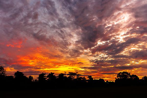 포토 JPG 해외이미지 구름 계절 백그라운드 오렌지 자연 하늘 아침 날씨 추상 풍경 사람없음 빨간색 여름 파란색 빛 햇빛 태양 노란색 일출 황혼 일몰 새벽 활발 황금 야간 장면 천국 해외202004 해외포토 주간 자연요소 컬러 컨셉 무늬 과일 노을 생태계 파일형식 이미지허브