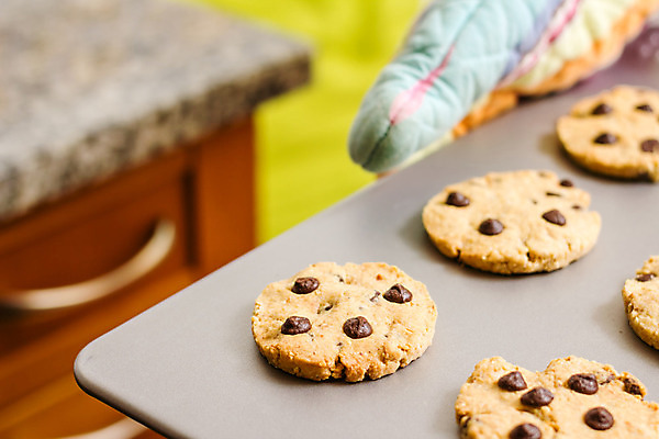 포토 JPG 해외이미지 음식 장갑 쟁반 사람없음 컬러풀 갈색 쿠키 주방 초콜릿 잡기 뜨거움 오븐 달콤 아침식사 굽기 핸드메이드 해외202004 해외포토 잡화 컬러 모션 디저트 식사 가전제품 맛 구이 파일형식 이미지허브