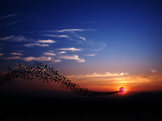 포토 JPG 해외이미지 동물 구름 야생동물 과학 돈 포유류 자연 하늘 산 풍경 사람없음 야외 마을 환경 어둠 새벽 할로윈 자유 탐험 달 그룹 군중 야간 신비 달빛 가득함 장면 박쥐 덩어리 단계 제비 수평선 해외202004 해외포토 자연요소 컨셉 조류 사람 재산 생태계 파일형식 이미지허브