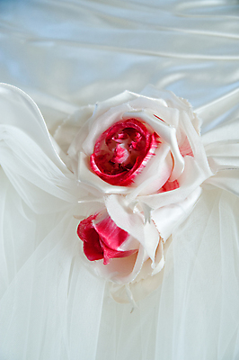 포토 JPG 해외이미지 드레스 옷 여자 꽃 꽃다발 결혼 백그라운드 장신구 결혼식 휴가 기념 이벤트 사람없음 장식 빨간색 세로 장미 흰색 축하 아내 실크 묘사 해외202004 해외포토 식물 컬러 컨셉 사람 직물 파일형식 이미지허브