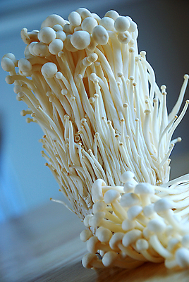 포토 JPG 해외이미지 음식 채소 사람없음 버섯 굴 흰색 신선 조미료 맛 먹기 유기농 날것 식용 해외202004 해외포토 웰빙 컬러 컨셉 모션 어패류 향미료 파일형식 이미지허브