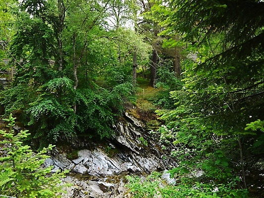 포토 JPG 해외이미지 나무 식물 공원 여행 백그라운드 잎 자연 벽지 산 이끼 풍경 사람없음 야외 목재 초록색 물 여름 빛 강 햇빛 평화 골짜기 맑음 봄 폭포 젖음 흐름 에너지 가을 바위 신선 개울 떨어짐 숲 뉴질랜드 내추럴 무료 파라다이스 해외202004 해외포토 자연요소 계절 공공시설 컬러 컨셉 재료 날씨 태양 돌_바위 오세아니아 생태계 파일형식 이미지허브