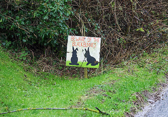 포토 JPG 해외이미지 도로 자동차 경고 사람없음 검은색 정보 시골 토끼 사인 조심 길가 해외202004 해외포토 길 육상교통 컬러 포유류 교통시설 반려동물 파일형식 이미지허브