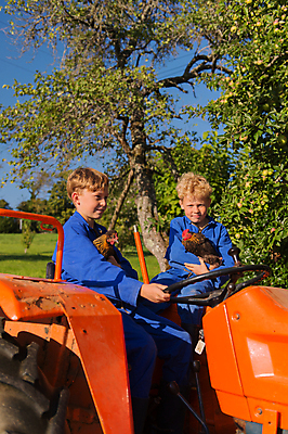 포토 JPG 해외이미지 동물 라이프스타일 어린이 농업 오렌지 가족 자연 조류 함께함 건강 작업복 풍경 소년 야외 두명 여름 파란색 금발 농장 가축 운전 작업 도움 운전사 승차 형제 트랙터 해외202004 해외포토 직업 헤어스타일 옷 계절 남자 산업 컬러 컨셉 과일 관계 모션 사람 생활 농기계 생태계 특수차량 파일형식 이미지허브