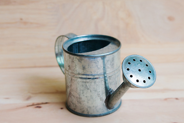 포토 JPG 해외이미지 1 백그라운드 오렌지 비즈니스 자연 탁자 손잡이 사람없음 목재 장식 물 장난감 갈색 금속 정원 미니어처 장비 물뿌리개 수확 골동품 흰색 공구 시골 캔 널 냄비 작음 컨테이너 철 오브젝트 물주기 부식 싱글 원예 미니 밭일 알루미늄 옛날 철강 해외202004 해외포토 자연요소 나무 산업 컬러 가구 농업 과일 재료 모션 재질 취미 모형 도구 솥 크기 생태계 파일형식 이미지허브