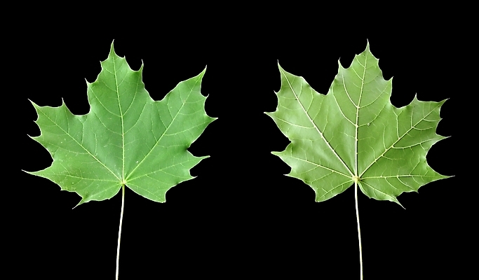 포토 JPG 해외이미지 사람없음 해외202004 해외포토 파일형식 이미지허브