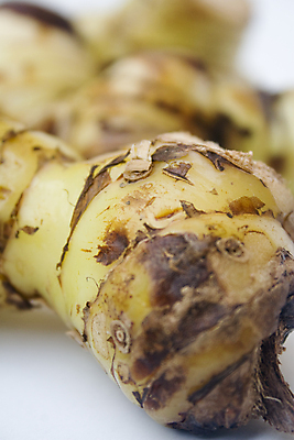 포토 JPG 해외이미지 줄기 다이어트 채소 태국 자연 건강 요리 동양인 사람없음 초록색 파란색 주방 신선 양념 수프 자르기 향신료 유기농 날것 뿌리 향료 향 레시피 카레 지하 성분 생강 내추럴 고립 해외202004 해외포토 식물 웰빙 아시아 음식 컬러 모션 인종 생태계 향기 냄새 향미료 파일형식 이미지허브