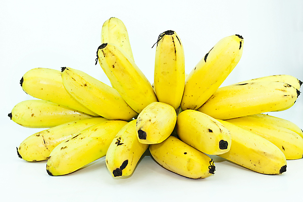 포토 JPG 해외이미지 음식 백그라운드 농업 다이어트 과일 자연 디저트 바나나 건강 사람없음 활발 흰색 신선 닫기 달콤 맛 먹기 유기농 칼로리 내추럴 고립 숙성 이국적 채식주의자 해외202004 해외포토 웰빙 산업 컬러 컨셉 모션 생태계 채식 파일형식 이미지허브