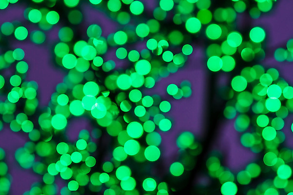 포토 JPG 해외이미지 디자인 별 백그라운드 크리스마스장식 크리스마스 일러스트 추상 휴가 불꽃 새로움 기념 미술 이벤트 사람없음 장식 초록색 파란색 빛 반짝임 컬러풀 우주 보라색 축제 어둠 축하 화려 우아함 야간 소프트포커스 연도 심볼 보케 마법 엘리먼트 해외202004 해외일러스트 자연요소 기념일 컬러 컨셉 무늬 모션 불 문화예술 촬영기법 파일형식 이미지허브