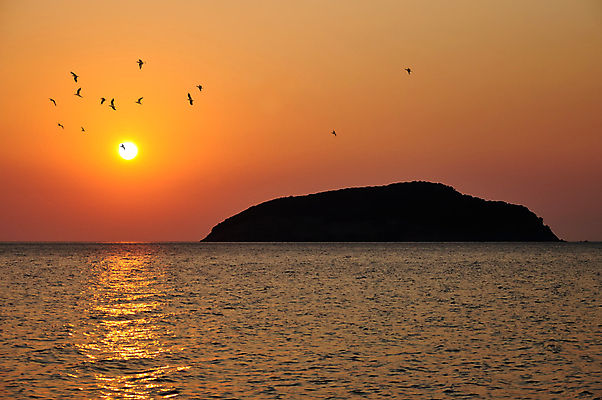 포토 JPG 해외이미지 파도 바다 자연 하늘 아침 추상 풍경 사람없음 야외 물 빛 햇빛 태양 반사 노란색 일출 맑음 일몰 새벽 거울 저녁 윤곽 마법 스카이라인 수평선 해외202004 해외포토 주간 자연요소 컬러 무늬 날씨 노을 야간 생태계 파일형식 이미지허브