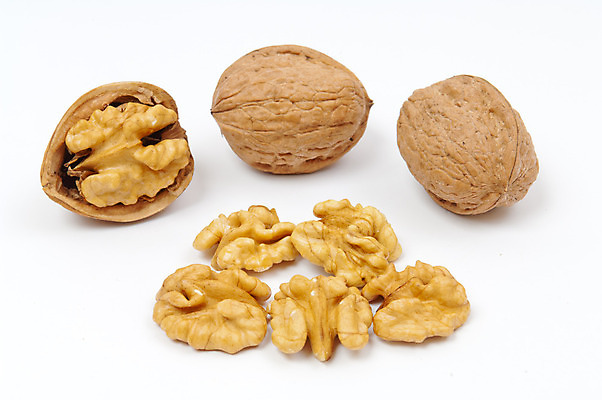 포토 JPG 해외이미지 음식 백그라운드 과일 건조 건강 씨앗 사람없음 갈색 노란색 견과류 껍질 흰색 신선 유기농 알맹이 날것 호두 흙더미 개암나무 고립 해외202004 해외포토 나무 식물 웰빙 컬러 흙 파일형식 더미 이미지허브